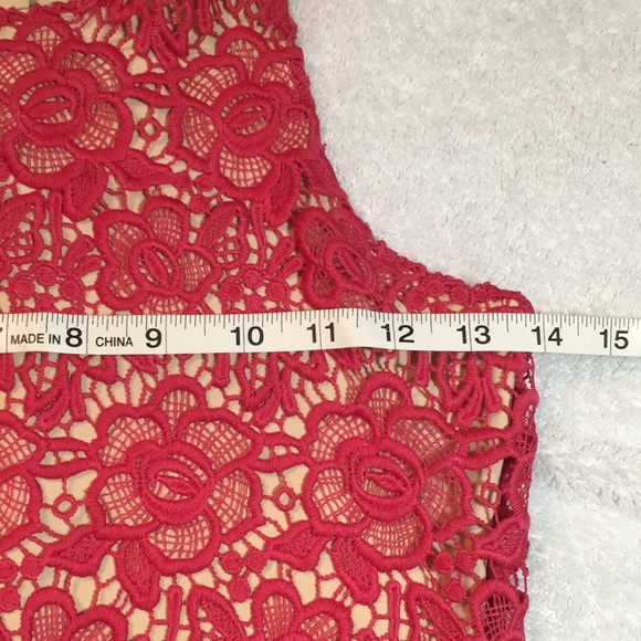 Lovers + Friends pink lace dress - Picture 4 of 11